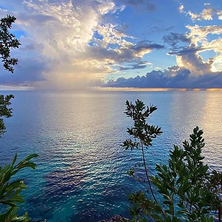 Oceanfront Condo W/ Free Parking + High Speed Wifi Negril Buitenkant foto