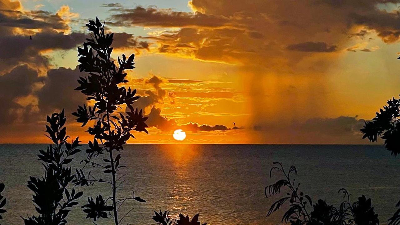 Oceanfront Condo W/ Free Parking + High Speed Wifi Negril Buitenkant foto